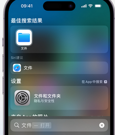 容城apple维修中心分享iPhone文件应用中存储和找到下载文件 