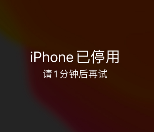 容城苹果手机维修分享:iPhone 显示“不可用”或“已停用”怎么办？还能保留数据吗？ 