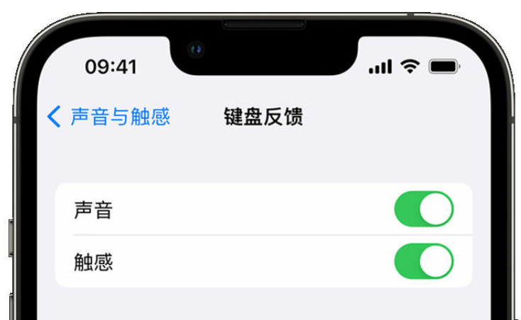 容城苹果手机维修分享iPhone 14触感键盘使用方法 