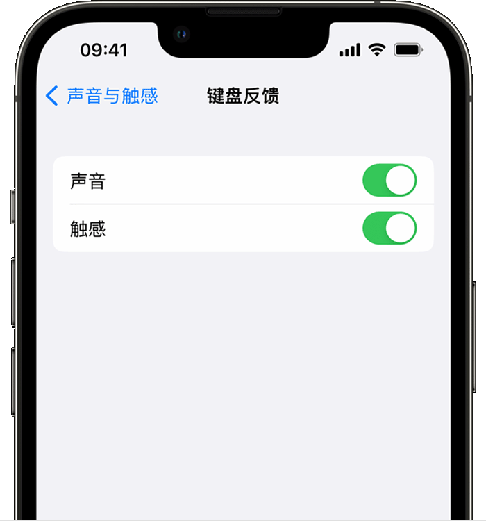 容城苹果14维修店分享如何在 iPhone 14 机型中使用触感键盘 