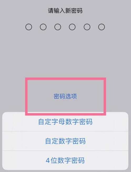 容城苹果14维修分享iPhone 14plus设置密码的方法 