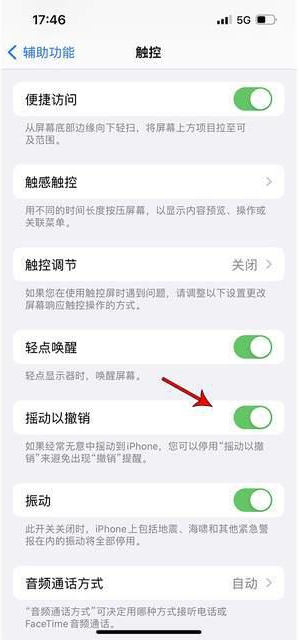 容城苹果手机维修分享iPhone手机如何设置摇一摇删除文字 