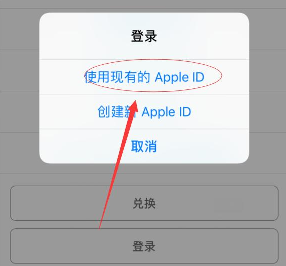 容城苹果手机维修分享两台iPhone设备可以同时登录一个Apple ID吗 