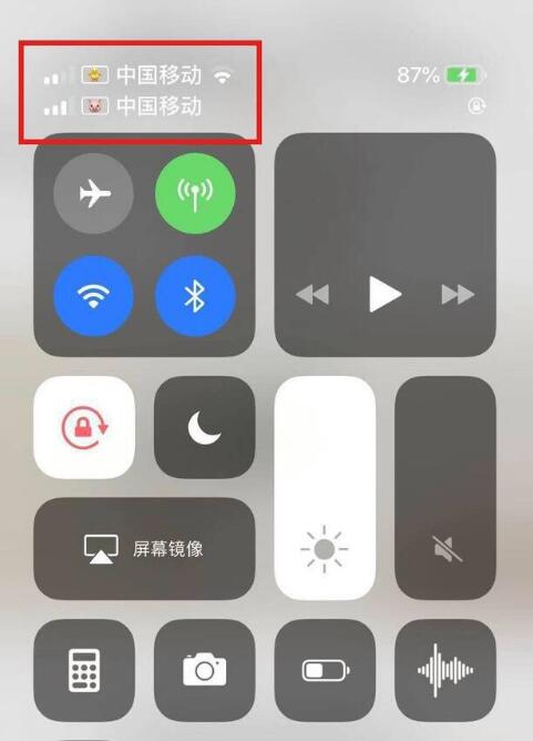 容城苹果手机维修分享为 iPhone 12 双卡设置标签 