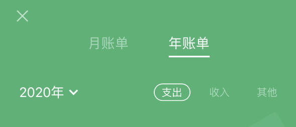 容城苹果手机维修分享如何在 iPhone 上查看支付宝和微信年支出账单 