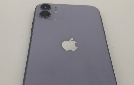 容城苹果11系统维修分享iPhone11手机系统崩溃无法开机如何解决 