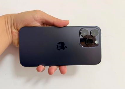 容城苹果维修点分享iPhone 14 Pro Max黑屏少见故障盘点 